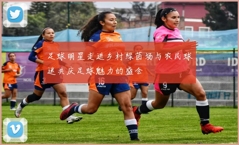 足球明星走进乡村绿茵场与农民球迷共庆足球魅力的盛会