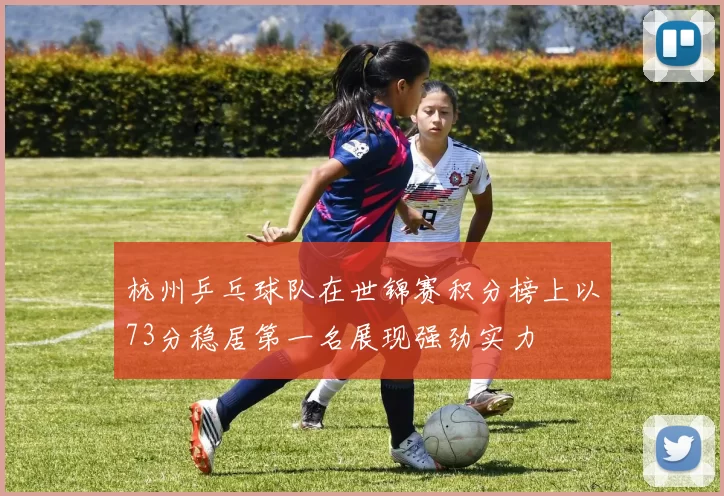 杭州乒乓球队在世锦赛积分榜上以73分稳居第一名展现强劲实力