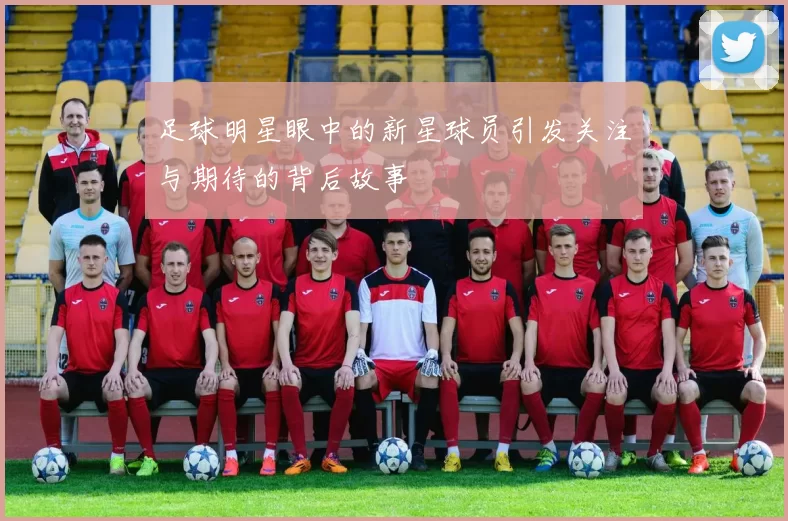 足球明星眼中的新星球员引发关注与期待的背后故事