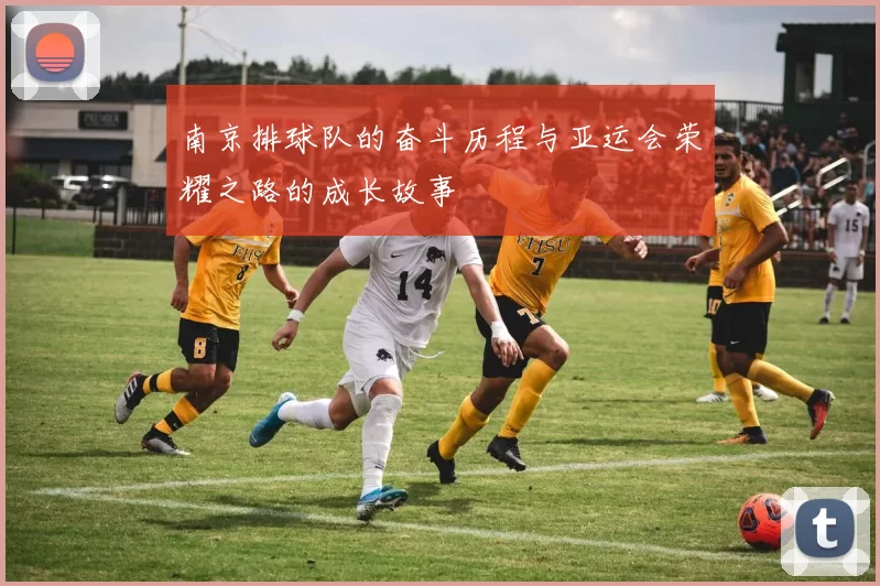 南京排球队的奋斗历程与亚运会荣耀之路的成长故事