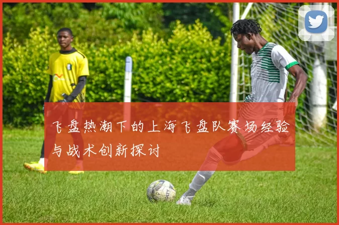 飞盘热潮下的上海飞盘队赛场经验与战术创新探讨