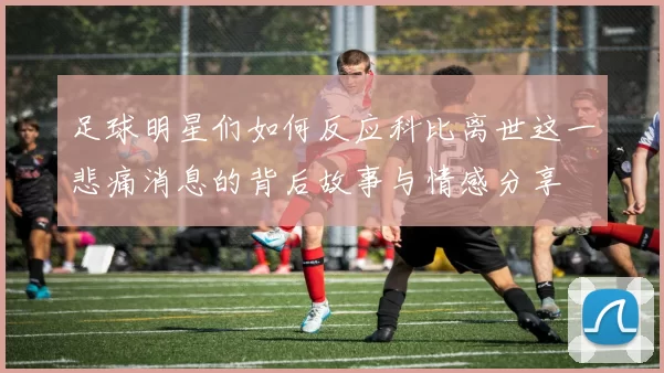 足球明星们如何反应科比离世这一悲痛消息的背后故事与情感分享