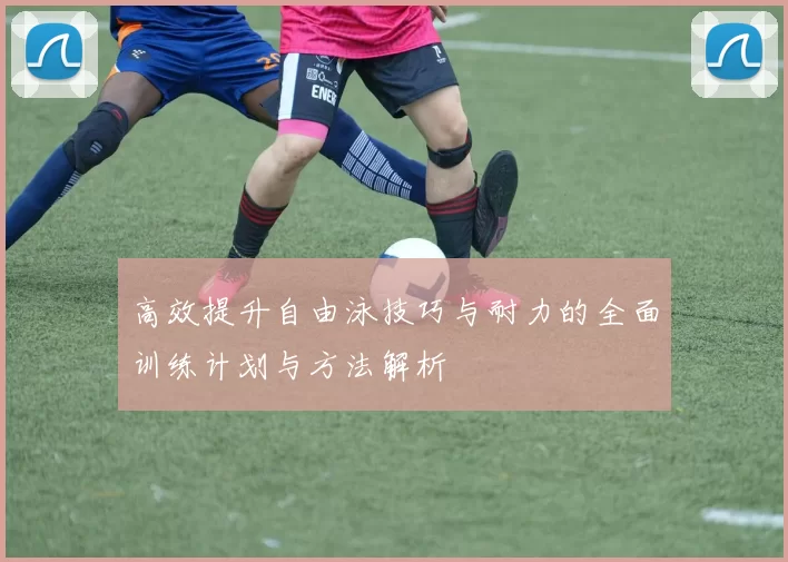 高效提升自由泳技巧与耐力的全面训练计划与方法解析