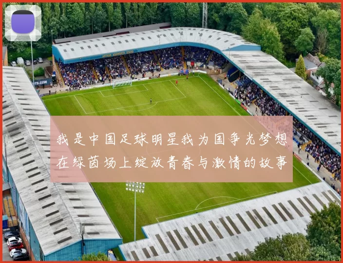 我是中国足球明星我为国争光梦想在绿茵场上绽放青春与激情的故事