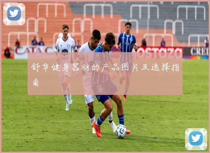 舒华健身器材的产品图片及选择指南