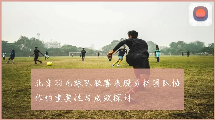 北京羽毛球队联赛表现分析团队协作的重要性与成效探讨