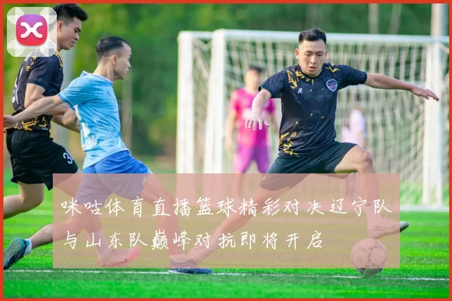 咪咕体育直播篮球精彩对决辽宁队与山东队巅峰对抗即将开启