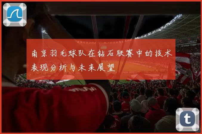南京羽毛球队在钻石联赛中的技术表现分析与未来展望