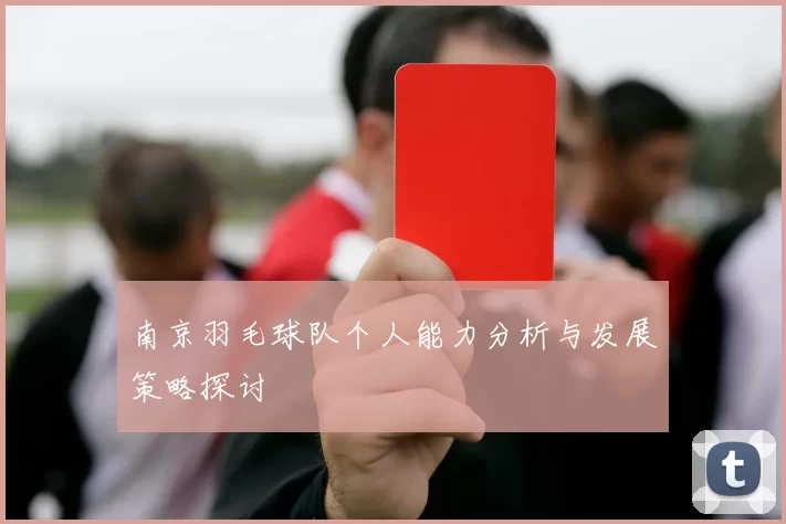 南京羽毛球队个人能力分析与发展策略探讨