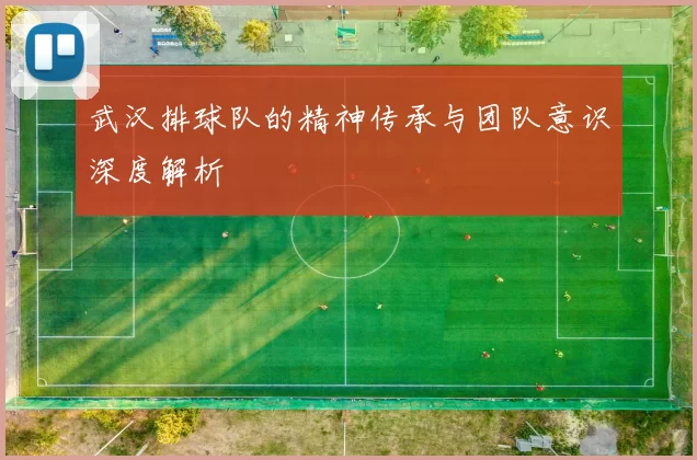 武汉排球队的精神传承与团队意识深度解析