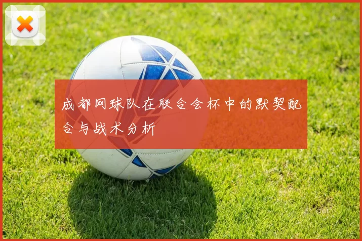 成都网球队在联合会杯中的默契配合与战术分析