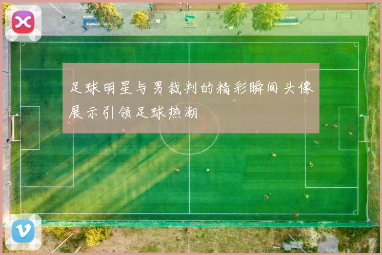 足球明星与男裁判的精彩瞬间头像展示引领足球热潮