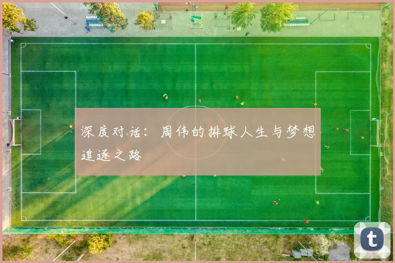 深度对话：周伟的排球人生与梦想追逐之路
