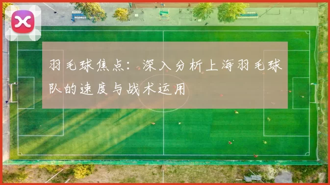 羽毛球焦点：深入分析上海羽毛球队的速度与战术运用