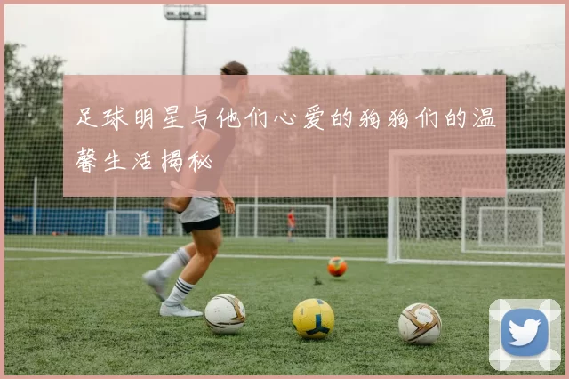 足球明星与他们心爱的狗狗们的温馨生活揭秘