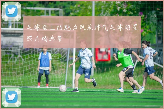 足球场上的魅力风采帅气足球明星照片精选集