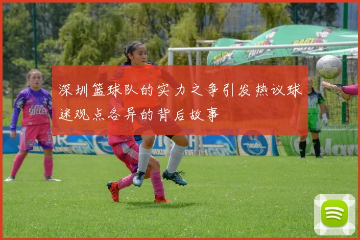 深圳篮球队的实力之争引发热议球迷观点各异的背后故事