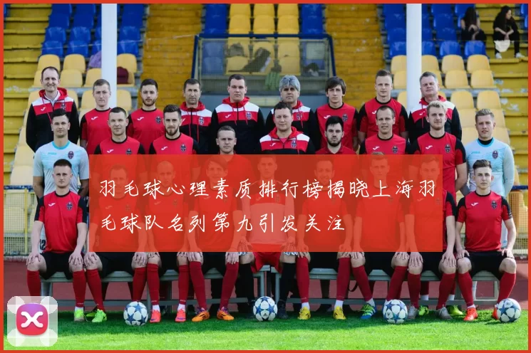羽毛球心理素质排行榜揭晓上海羽毛球队名列第九引发关注
