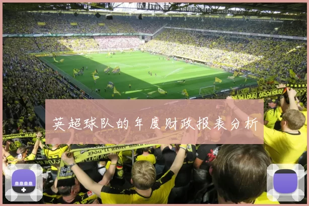 英超球队的年度财政报表分析