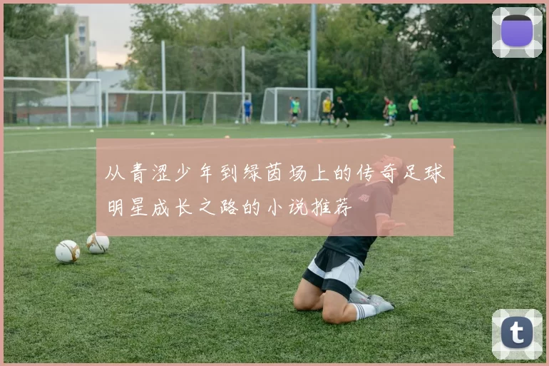 从青涩少年到绿茵场上的传奇足球明星成长之路的小说推荐
