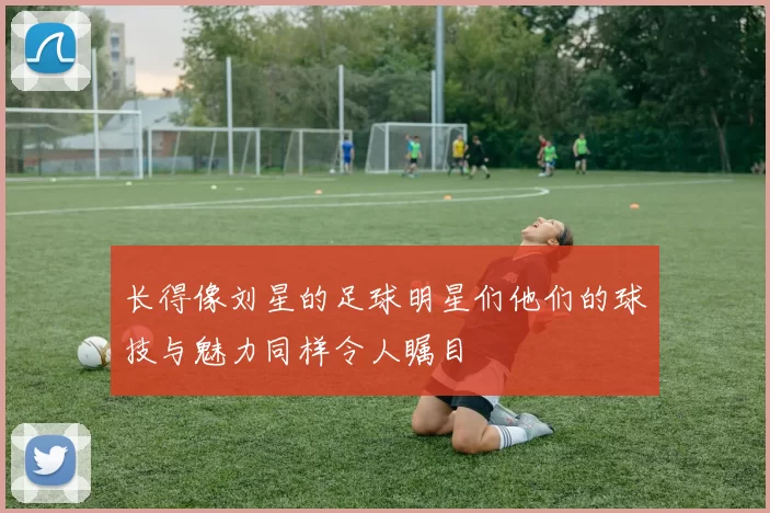 长得像刘星的足球明星们他们的球技与魅力同样令人瞩目