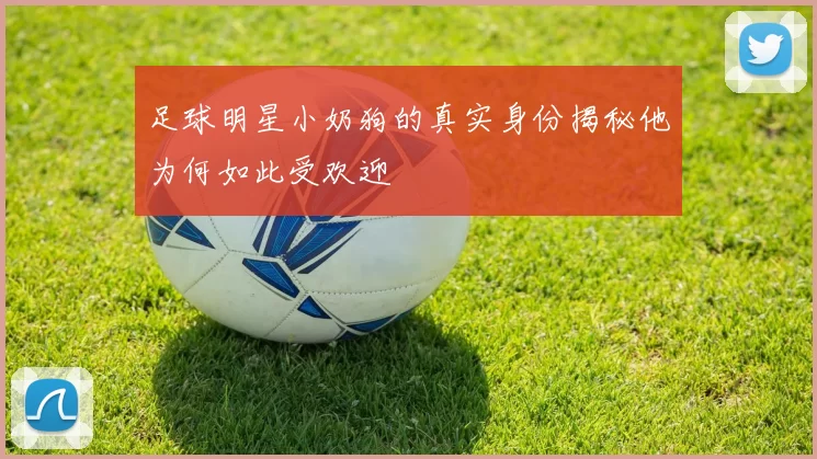 足球明星小奶狗的真实身份揭秘他为何如此受欢迎