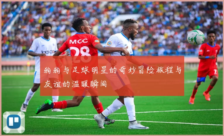 狗狗与足球明星的奇妙冒险旅程与友谊的温暖瞬间