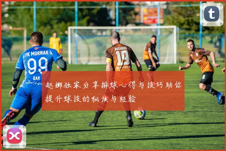 赵娜独家分享排球心得与技巧助你提升球技的秘诀与经验