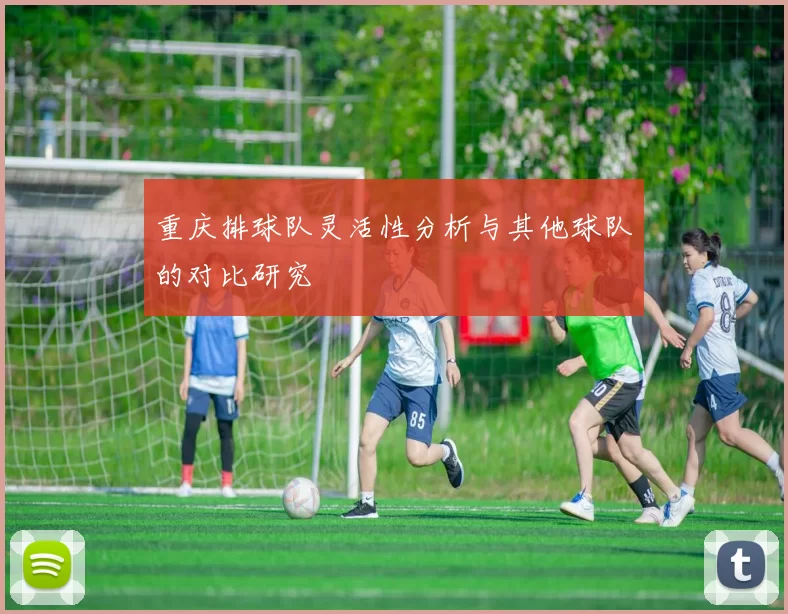重庆排球队灵活性分析与其他球队的对比研究