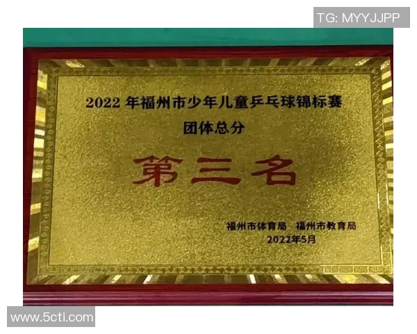 乒乓球的梦想与坚持：杭州乒乓球队成长历程的真实记录与感悟