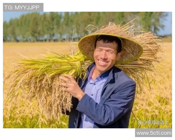 五谷丰登：探索五大主要农作物的种植技术与生态价值